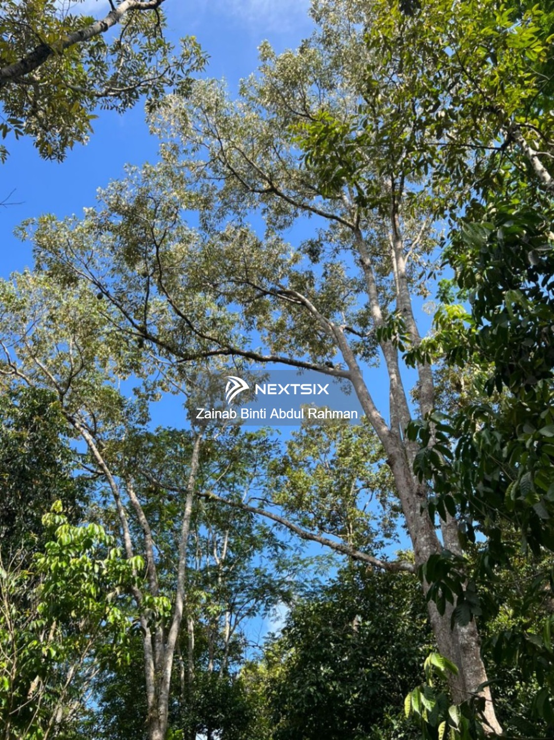 Agricultural Land For Sale in Kubang Pasu Kedah - Image 8