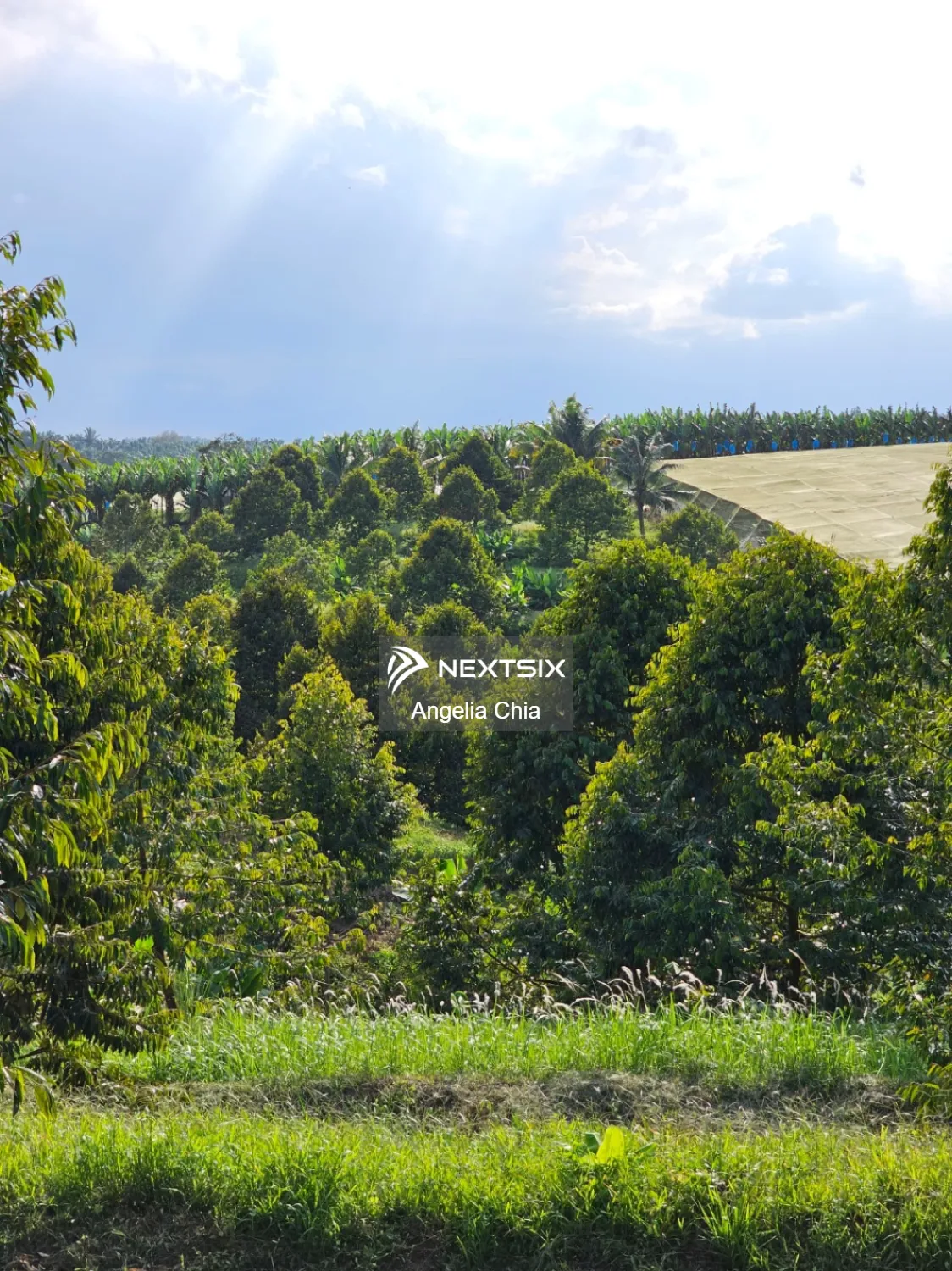 Agricultural Land For Sale in Kulai Johor - Image 16