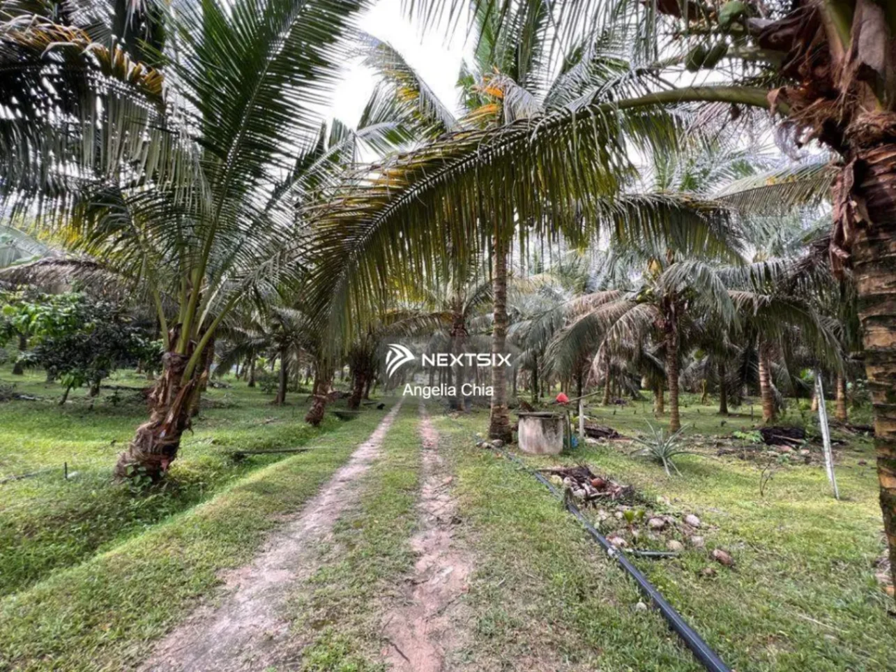 Agricultural Land For Sale in Kluang Johor - Image 10
