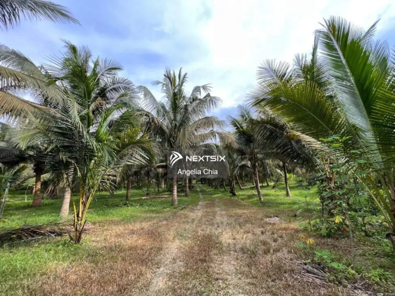 Agricultural Land For Sale in Kluang Johor - Image 5