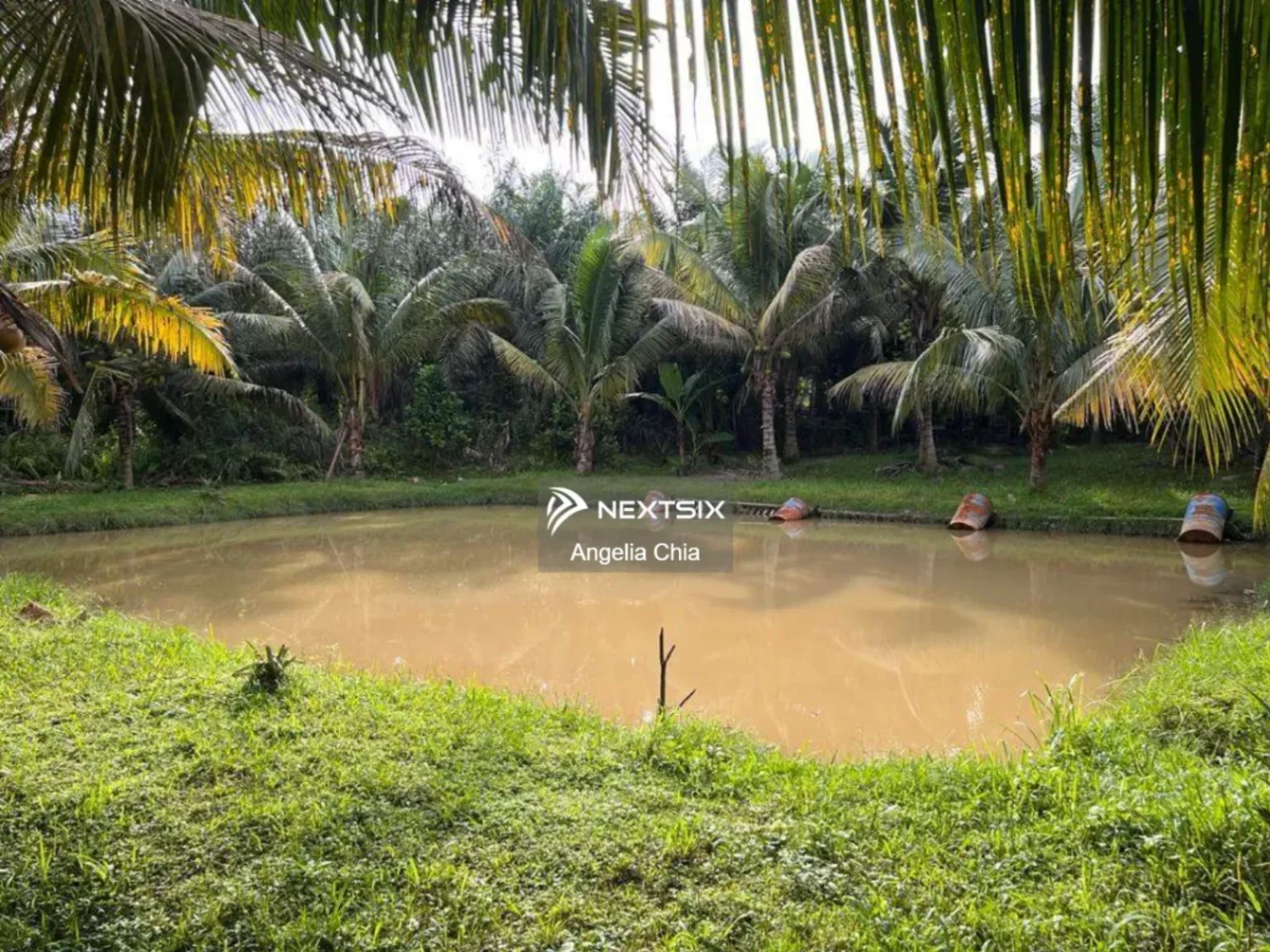 Agricultural Land For Sale in Kluang Johor - Image 9