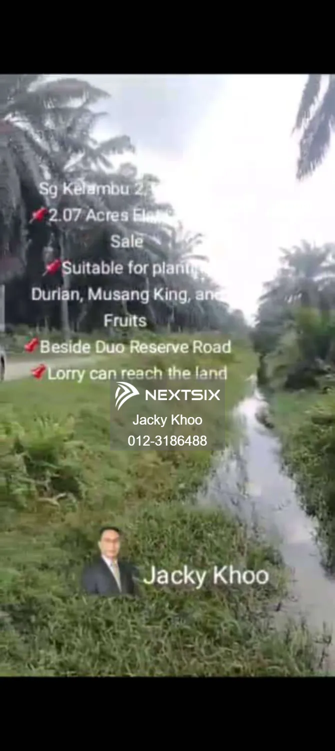 Agricultural Land For Sale in Banting Selangor - Image 6