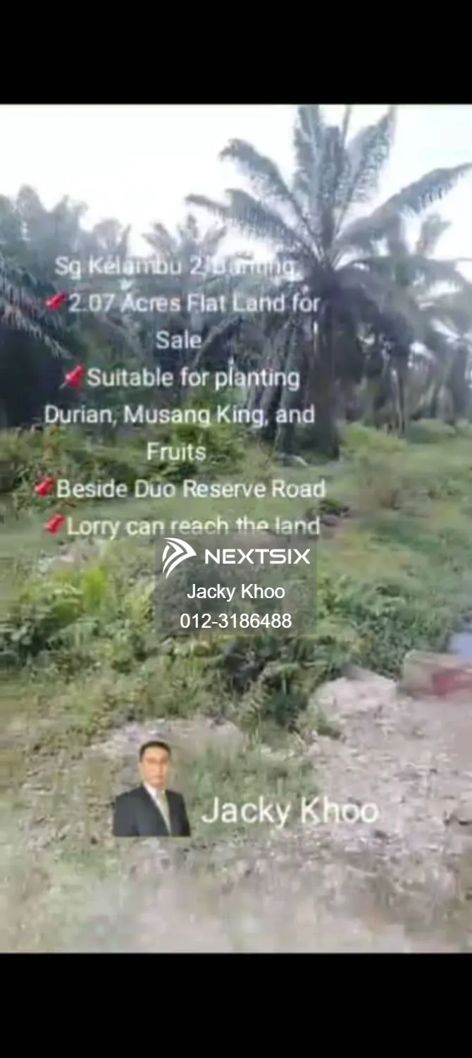 Agricultural Land For Sale in Banting Selangor - Image 7