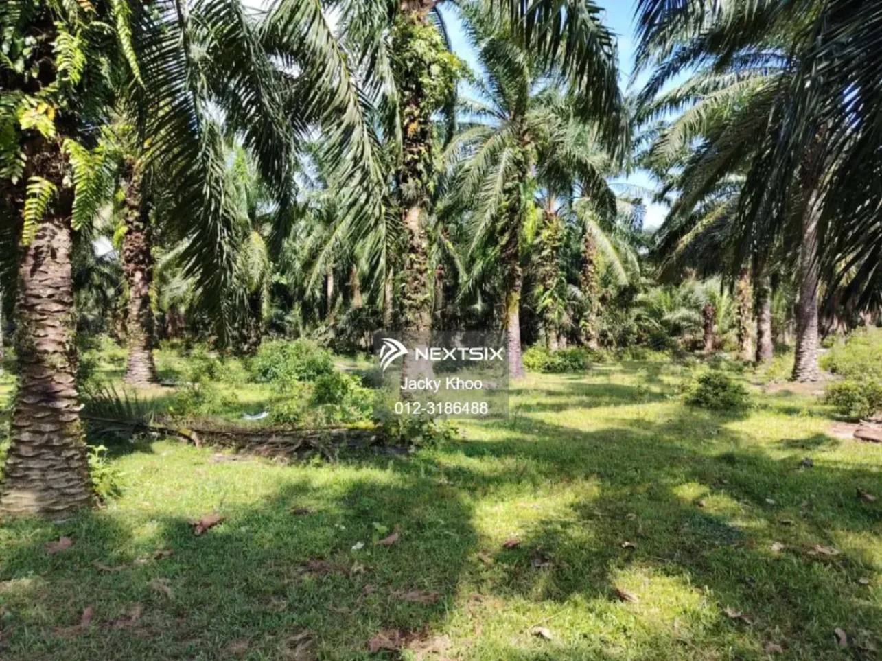 Agricultural Land For Sale in Banting Selangor - Image 5