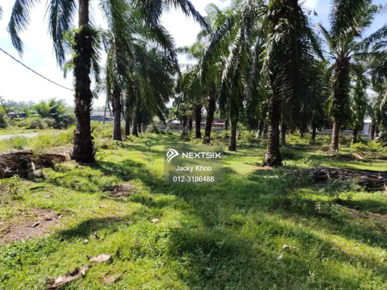 Agricultural Land For Sale in Banting Selangor - Image 7