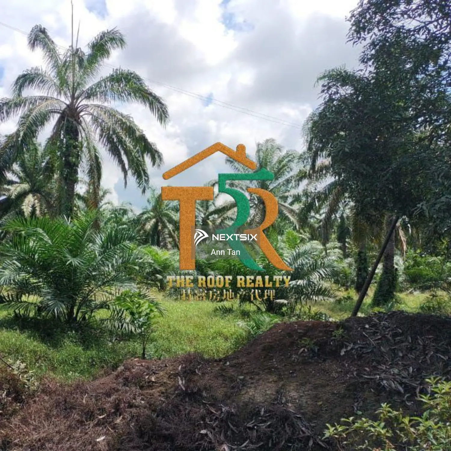 Agricultural Land For Sale in Batu Pahat Johor - Image 6