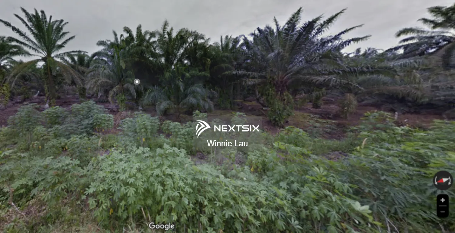 Agricultural Land, Jalan Kelapa, Parit Sayun, Mukim Serkat, Pontian.