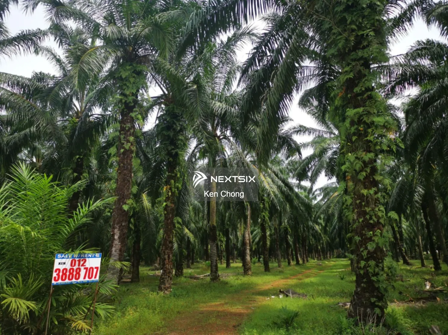 Industrial Land For Sale in Ijok Selangor