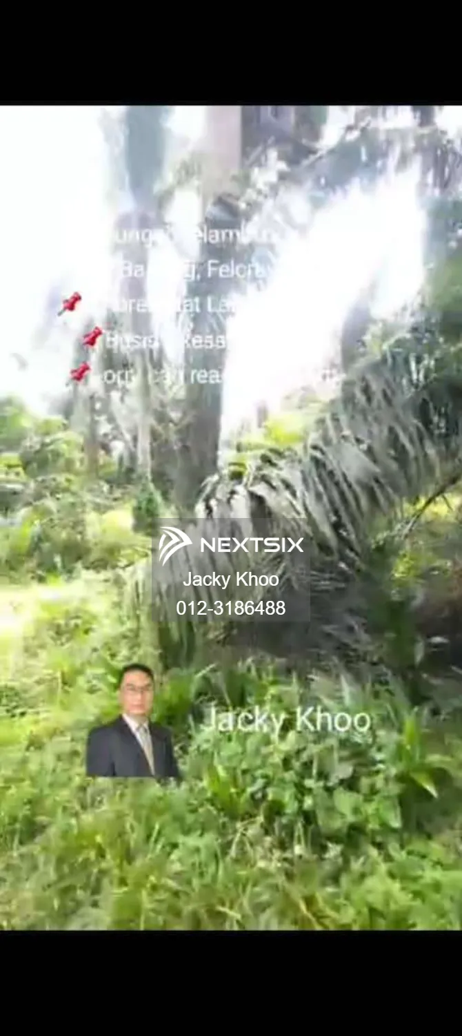 Agricultural Land For Sale in Banting Selangor - Image 2