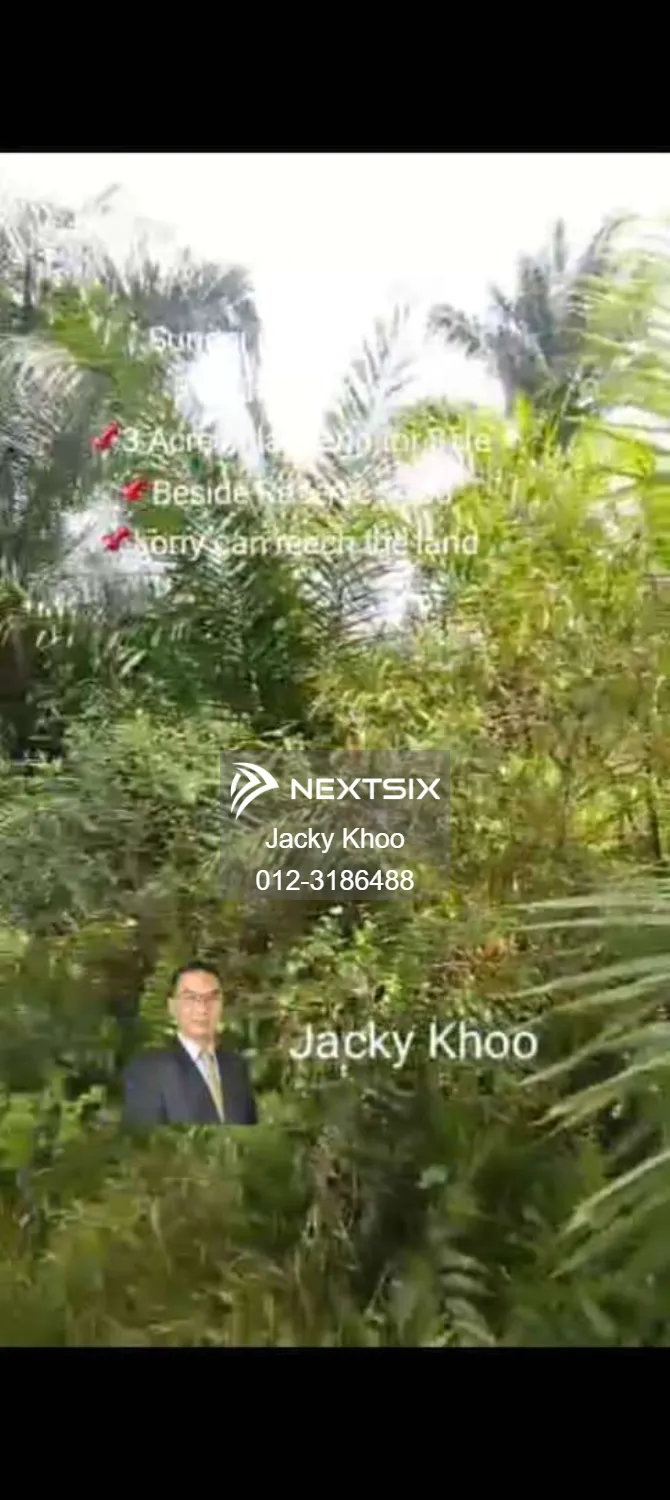 Agricultural Land For Sale in Banting Selangor - Image 3