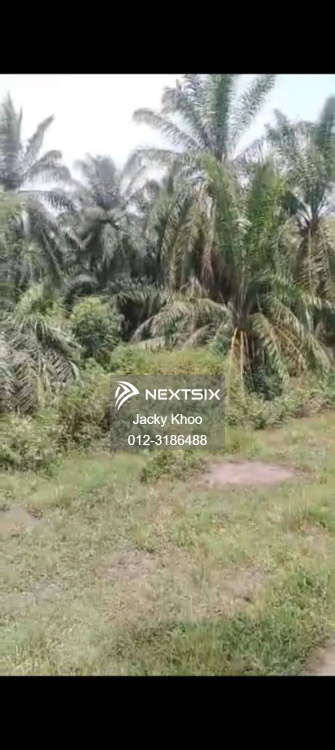 Agricultural Land For Sale in Banting Selangor - Image 2