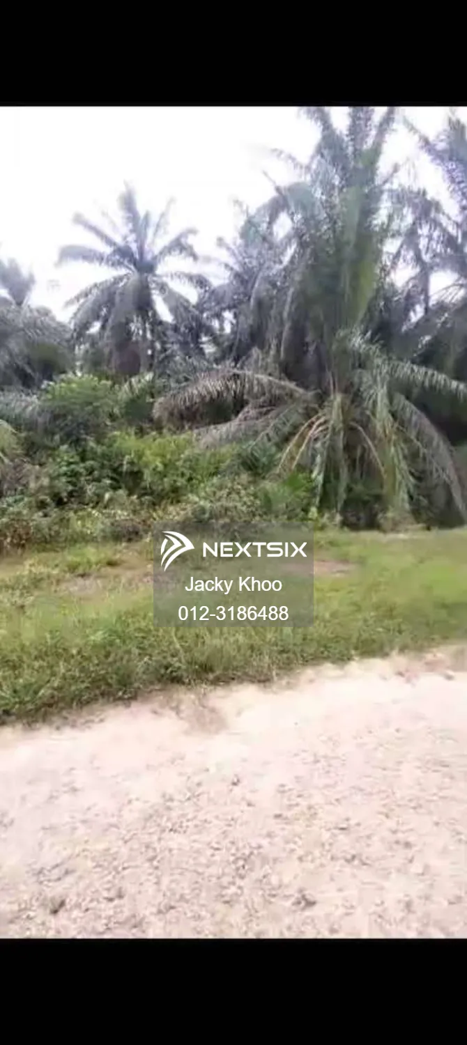 Agricultural Land For Sale in Banting Selangor - Image 3