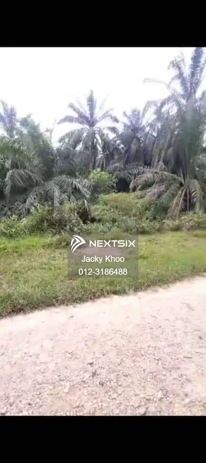 Agricultural Land For Sale in Banting Selangor - Image 4