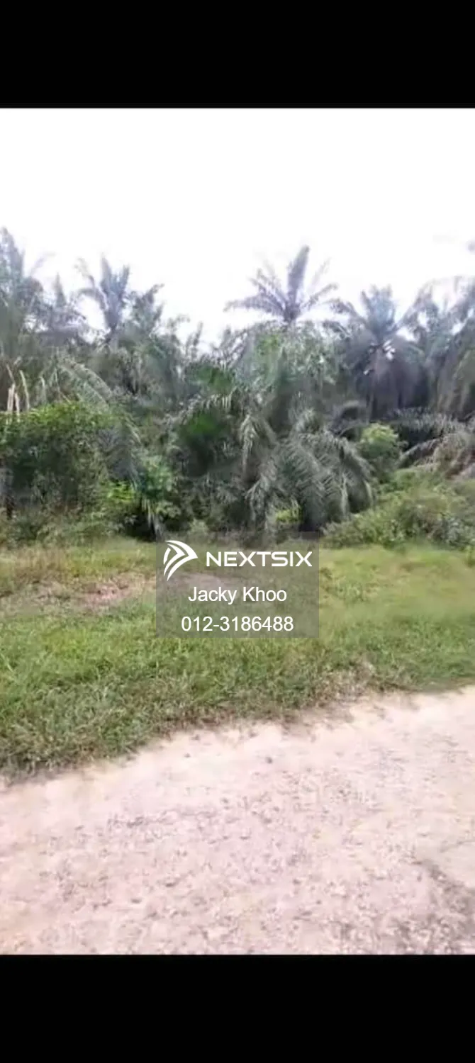 Agricultural Land For Sale in Banting Selangor - Image 5