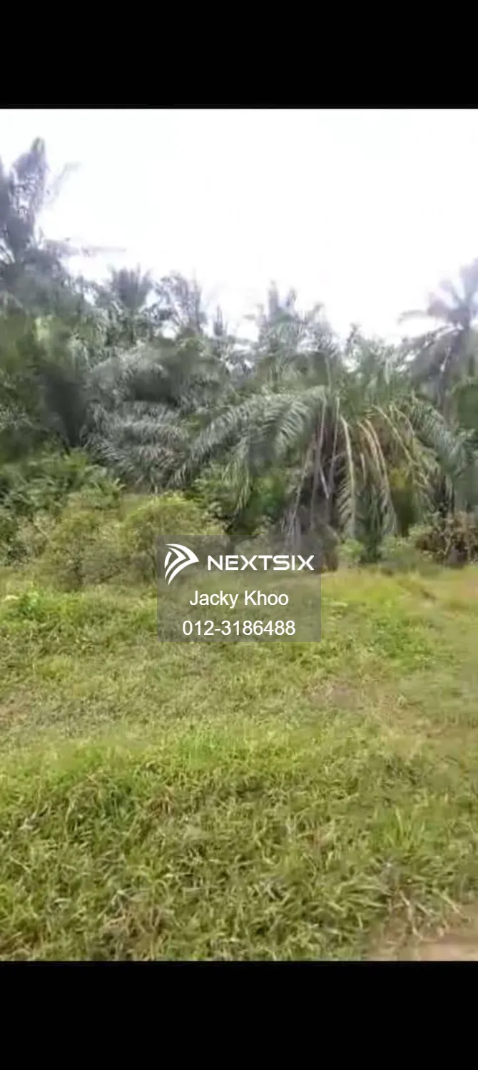 Agricultural Land For Sale in Banting Selangor - Image 6