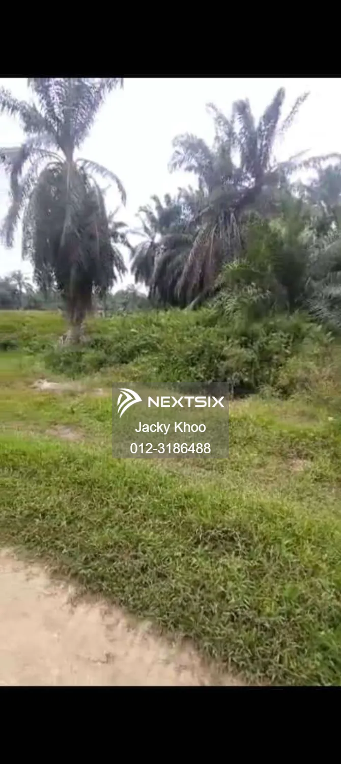 Agricultural Land For Sale in Banting Selangor - Image 8