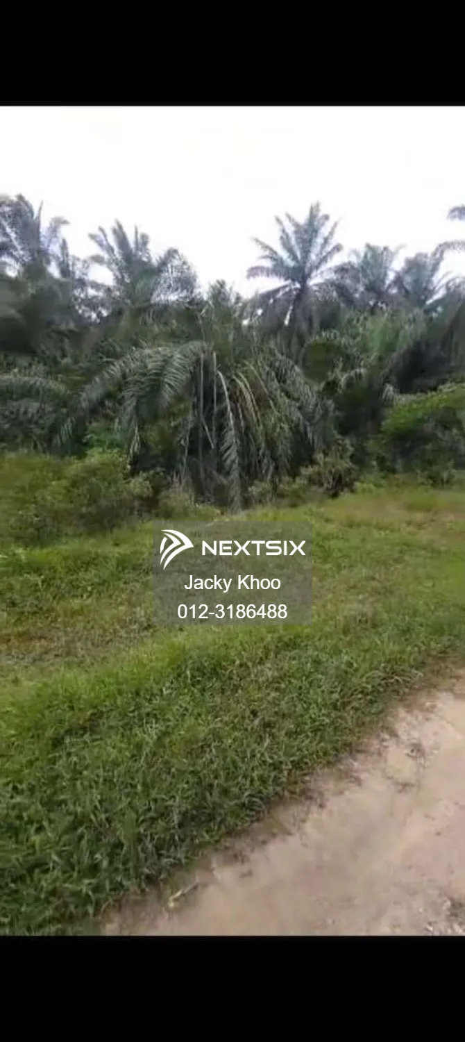 Agricultural Land For Sale in Banting Selangor - Image 9