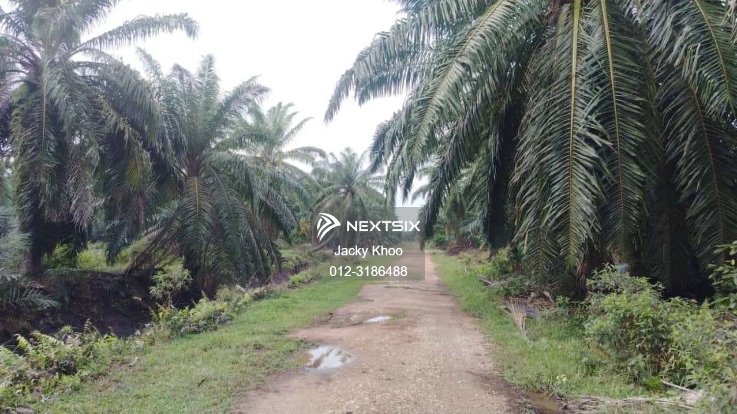 Banting Land for Sale, Sungai Kelambu 2, Banting, Felcra, 2.07 Acres Flat Land for Sale