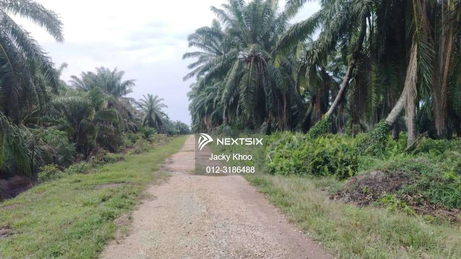 Agricultural Land For Sale in Banting Selangor - Image 5