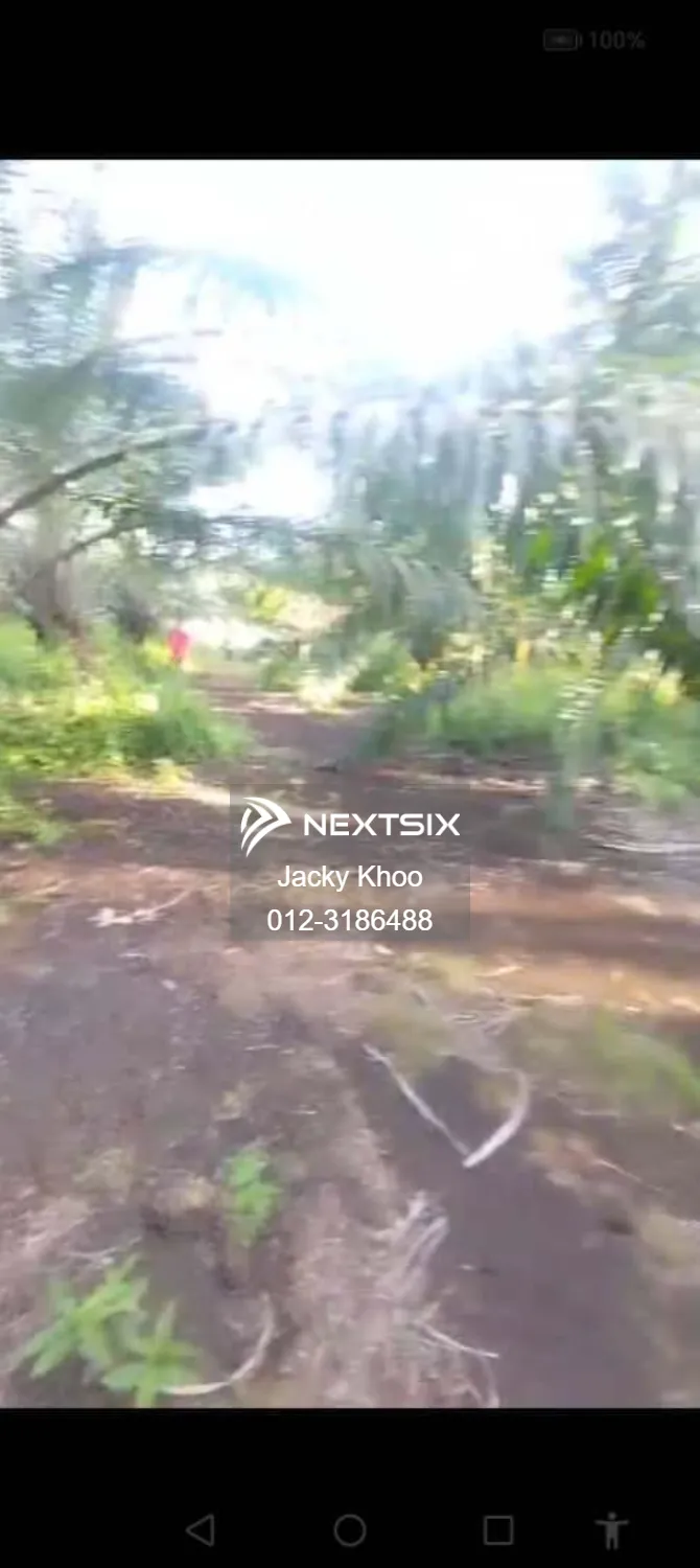 Agricultural Land For Sale in Banting Selangor - Image 2