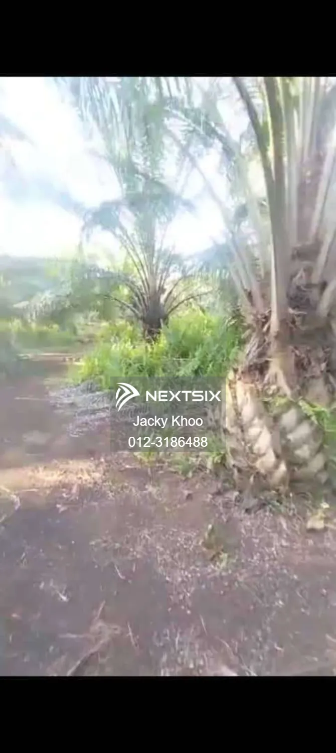 Agricultural Land For Sale in Banting Selangor - Image 3