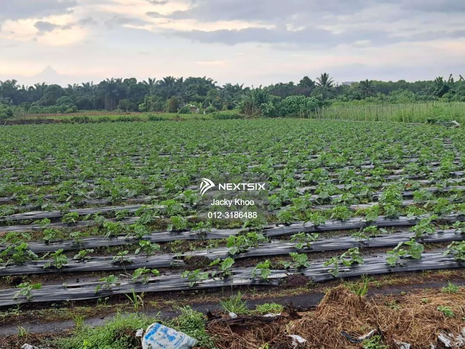 Klang Agricultural Land for Sale, Johan Setia, Klang, 1 Acre Flat Land for Sale