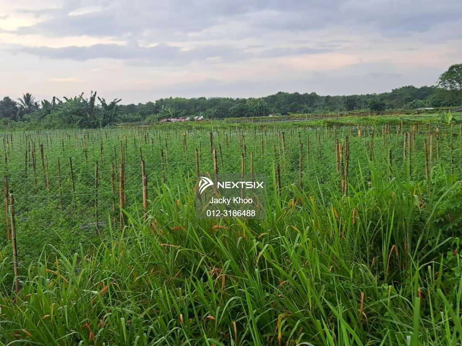 Agricultural Land For Sale in Klang Selangor - Image 2