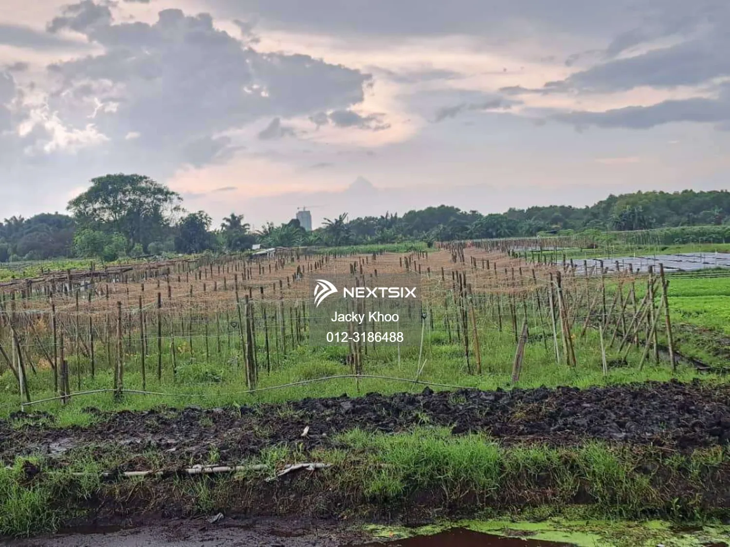 Agricultural Land For Sale in Klang Selangor - Image 5