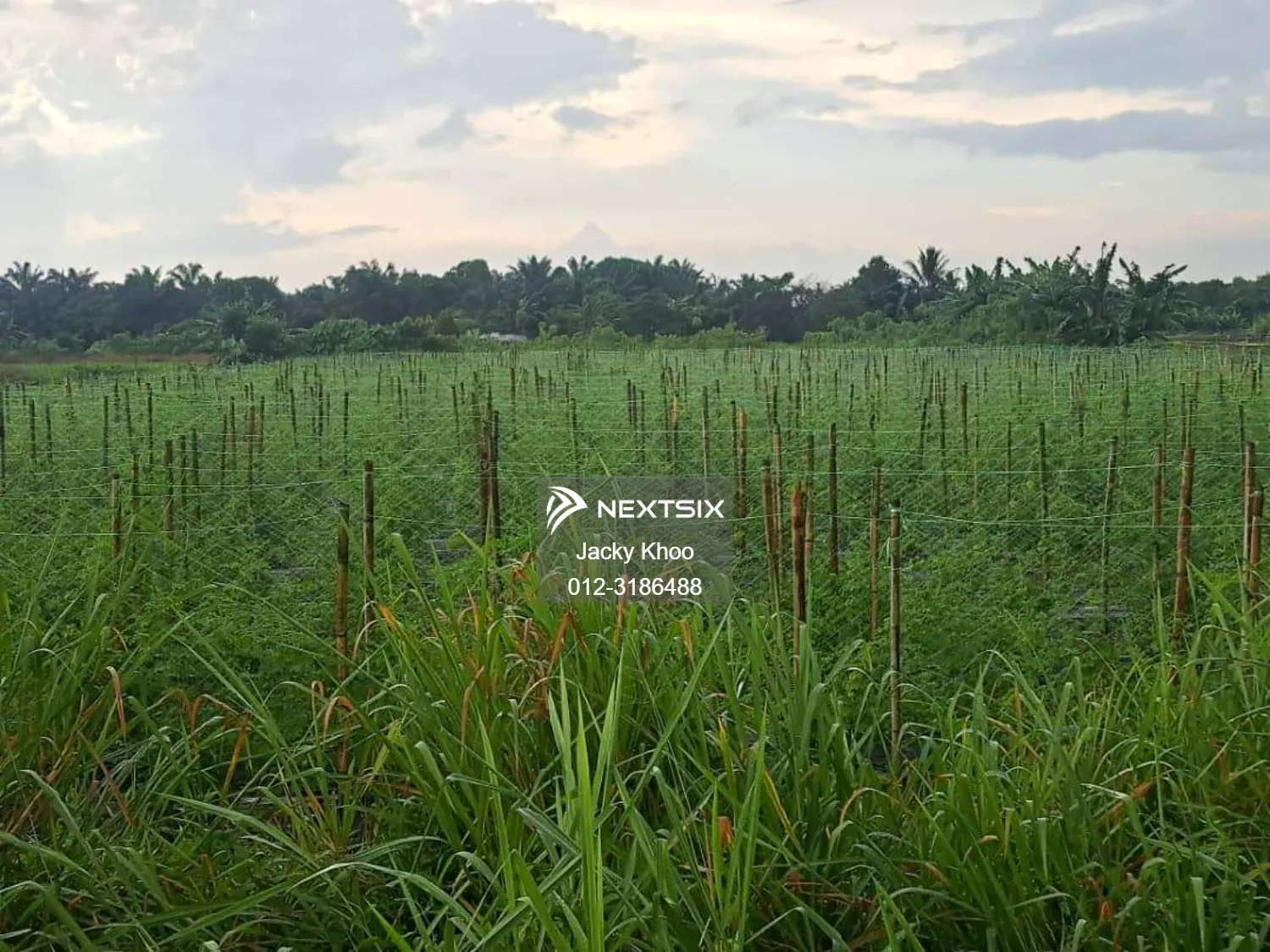 Agricultural Land For Sale in Klang Selangor - Image 5
