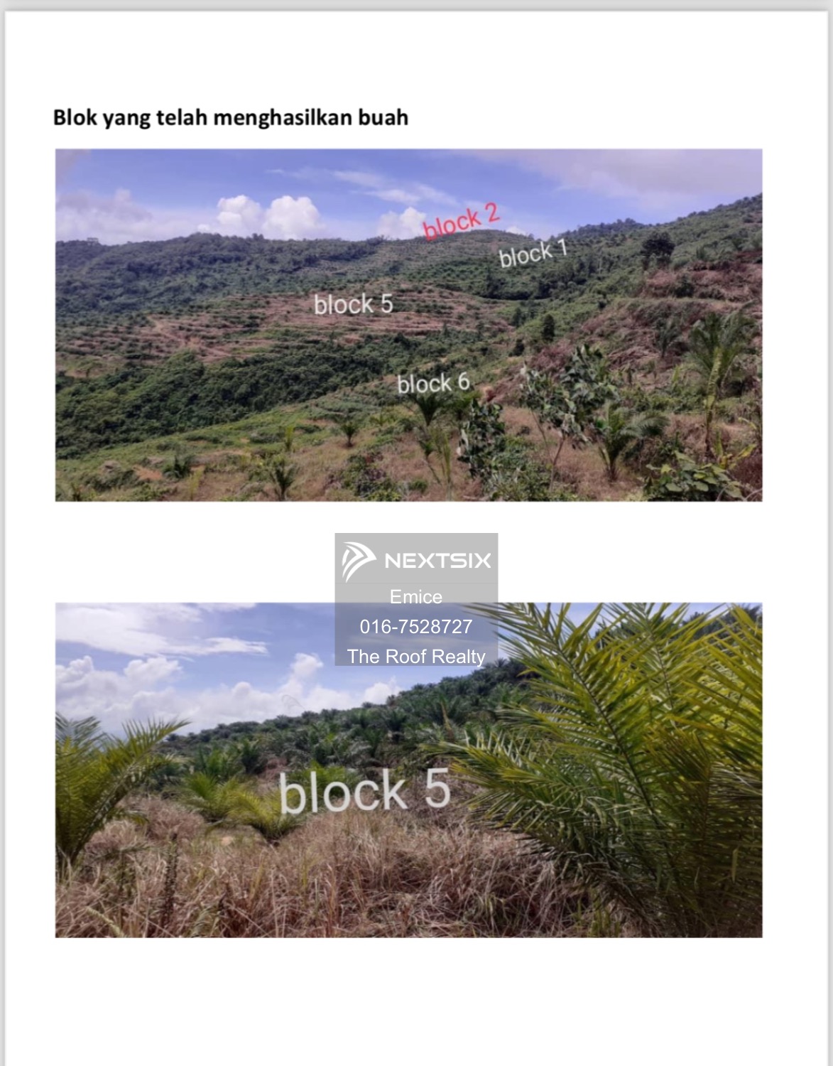 Agricultural Land For Sale in Kota Kinabalu Sabah - Image 3