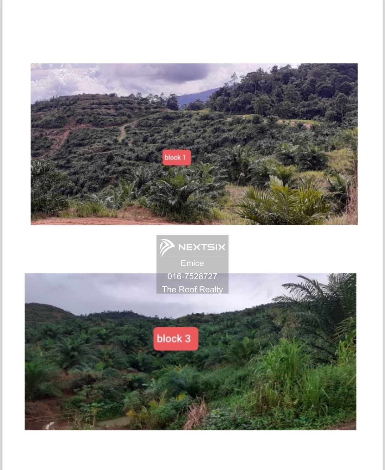 Agricultural Land For Sale in Kota Kinabalu Sabah - Image 4