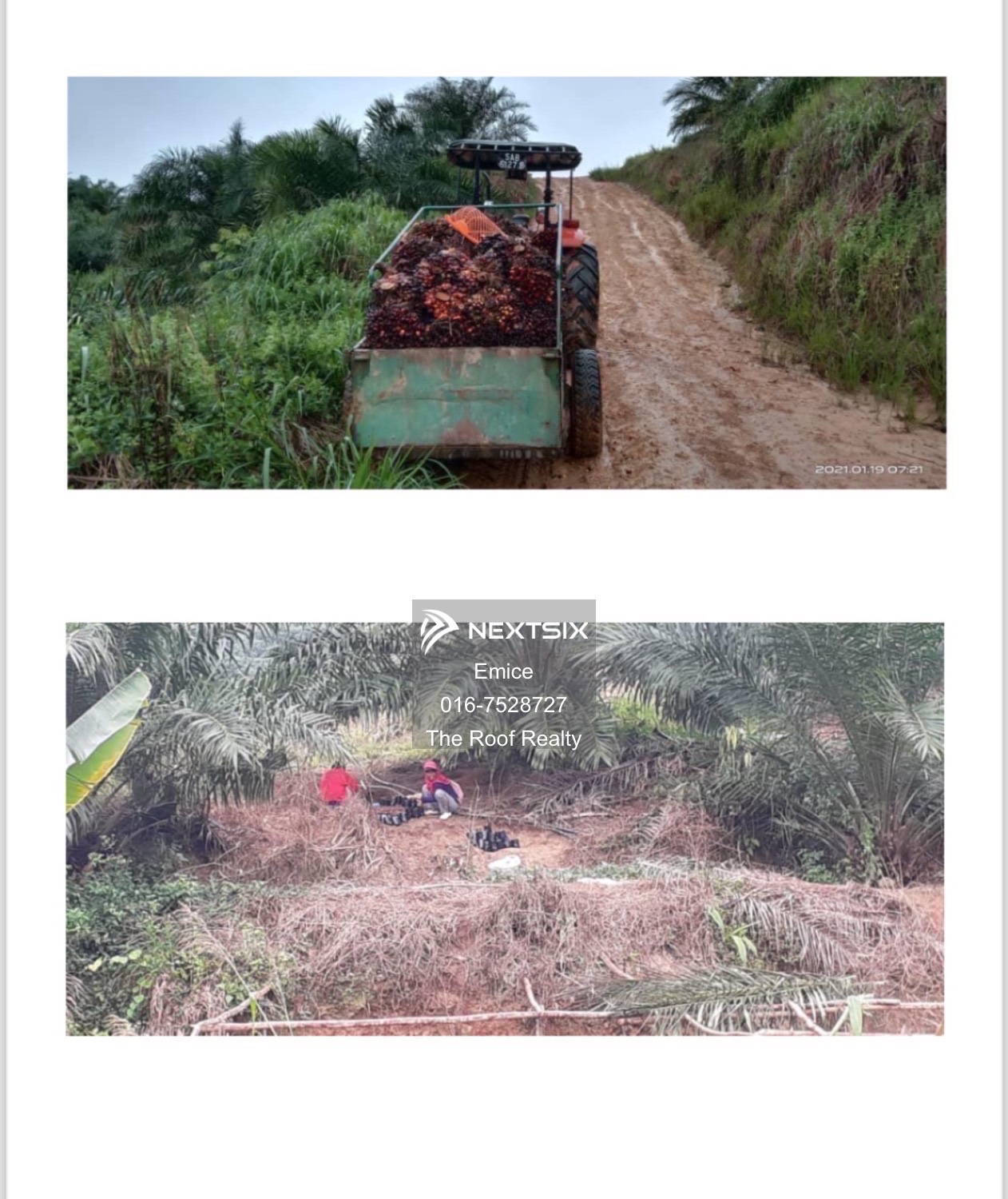 Agricultural Land For Sale in Kota Kinabalu Sabah - Image 7