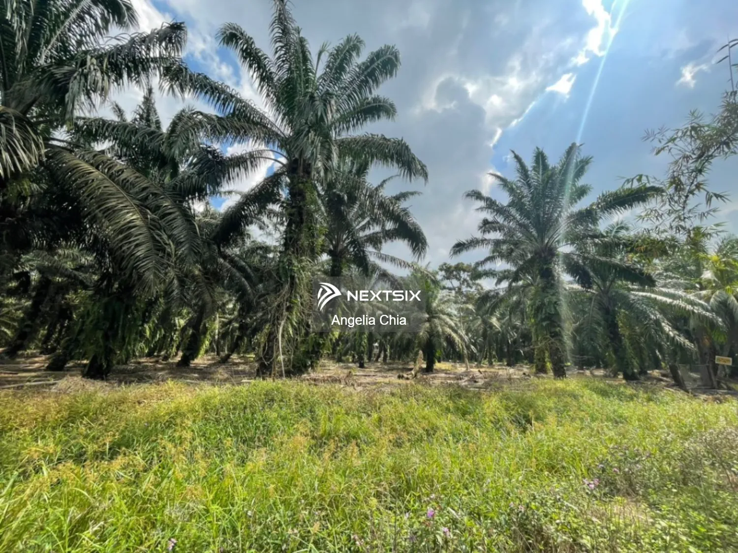 Kampung Teluk Kerang