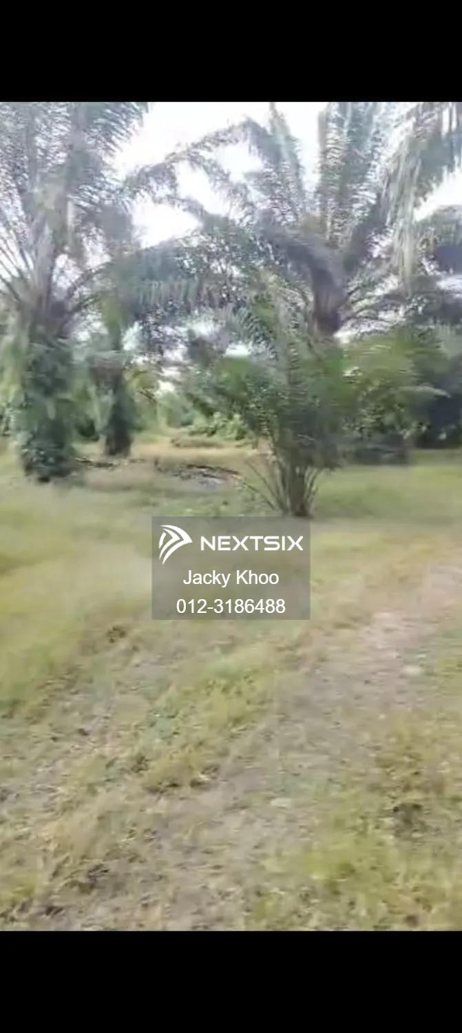 Agricultural Land For Sale in Sungai Pelek Selangor - Image 3