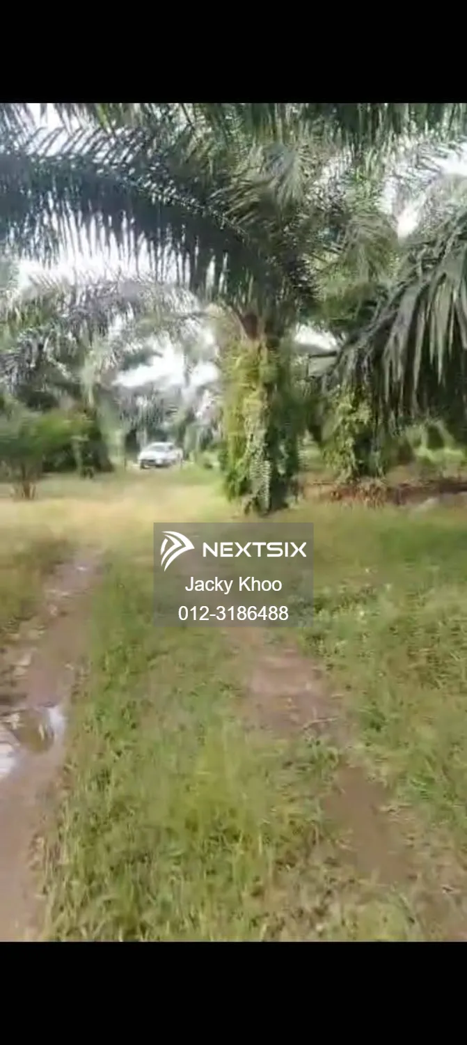 Agricultural Land For Sale in Sungai Pelek Selangor - Image 4