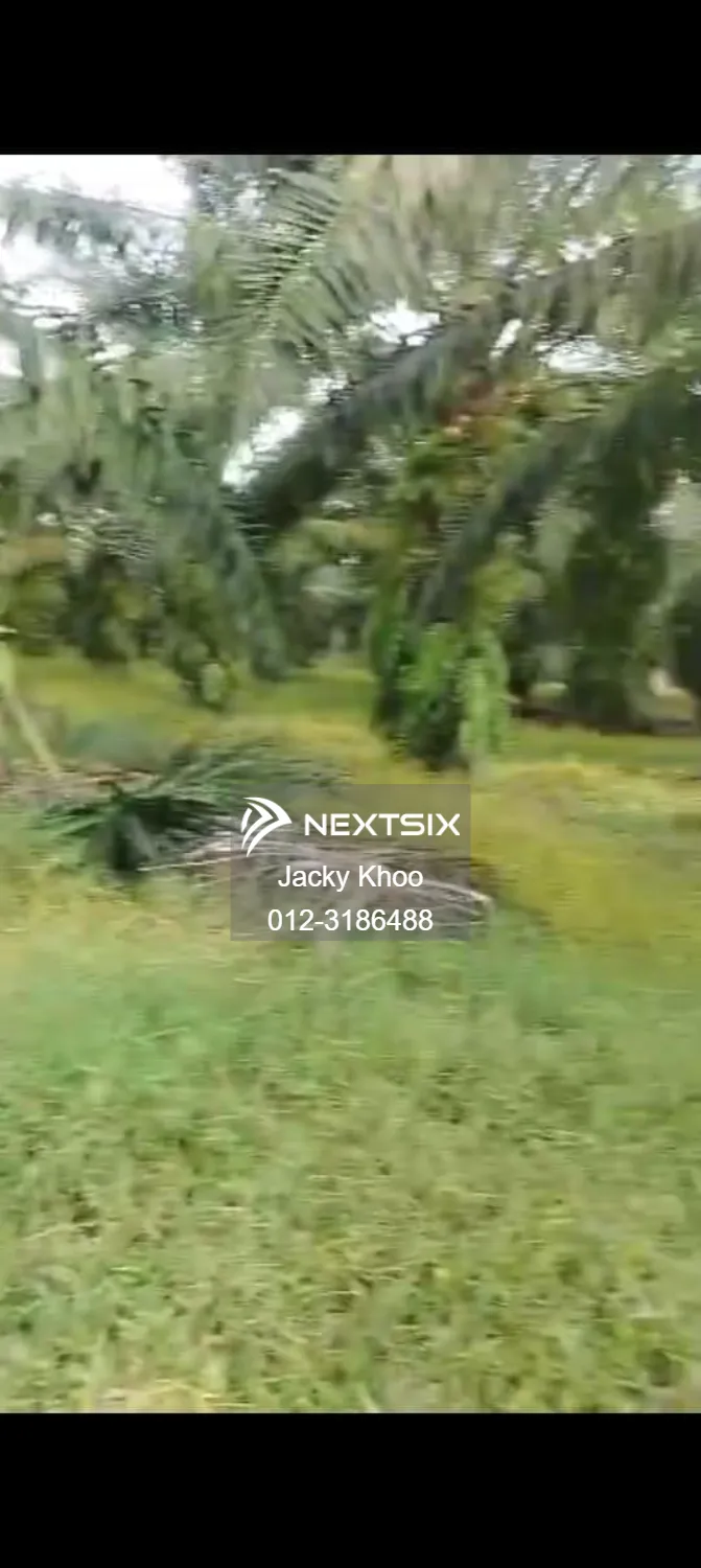 Agricultural Land For Sale in Sungai Pelek Selangor - Image 6