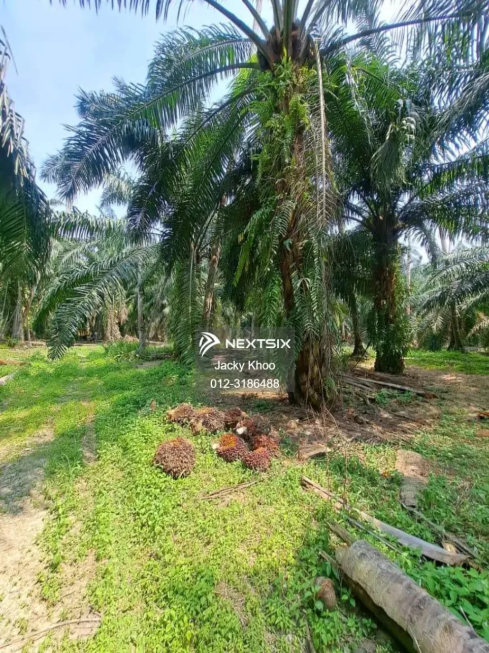 Agricultural Land For Sale in Kapar Selangor - Image 10