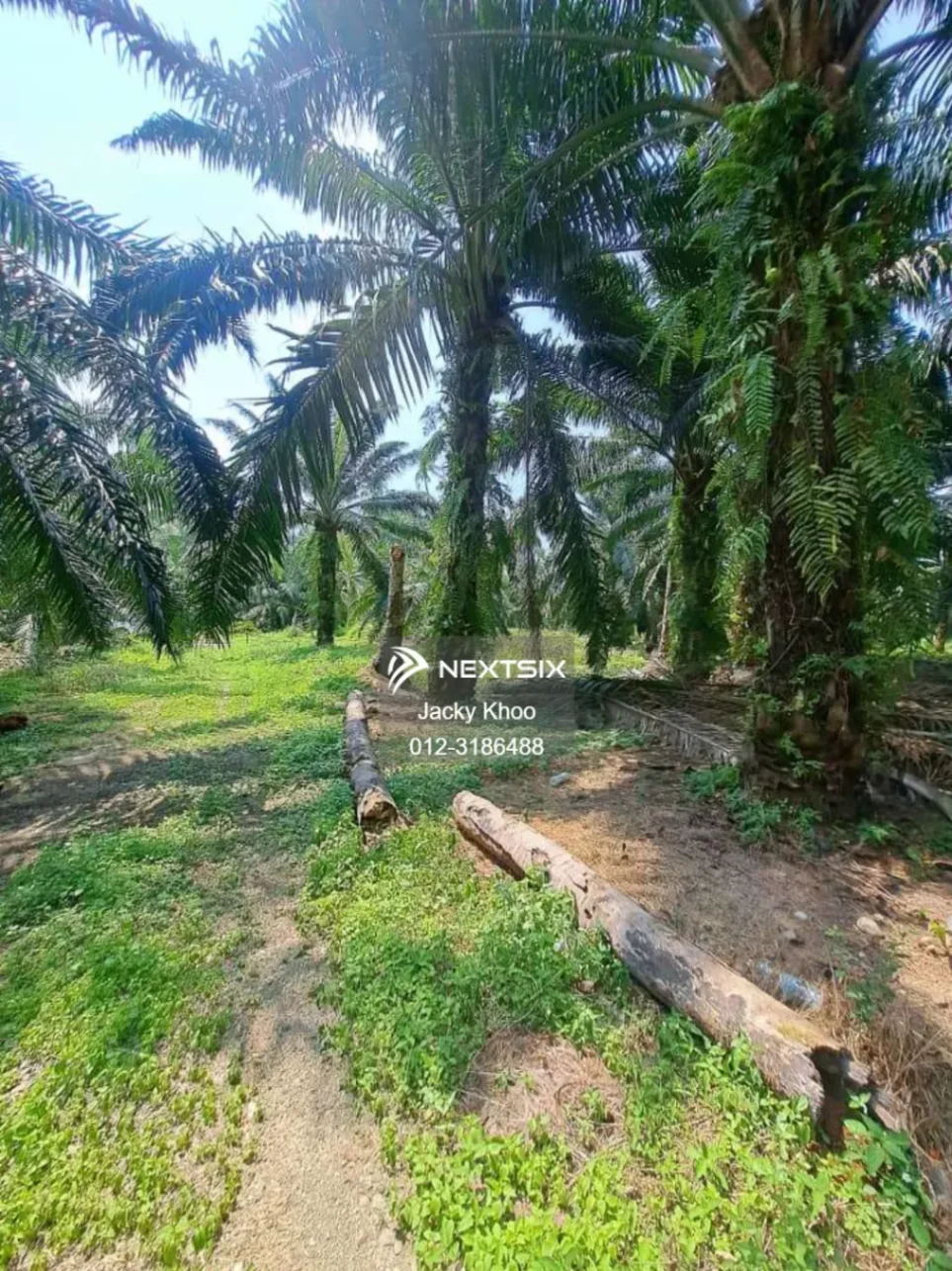 Agricultural Land For Sale in Kapar Selangor - Image 6