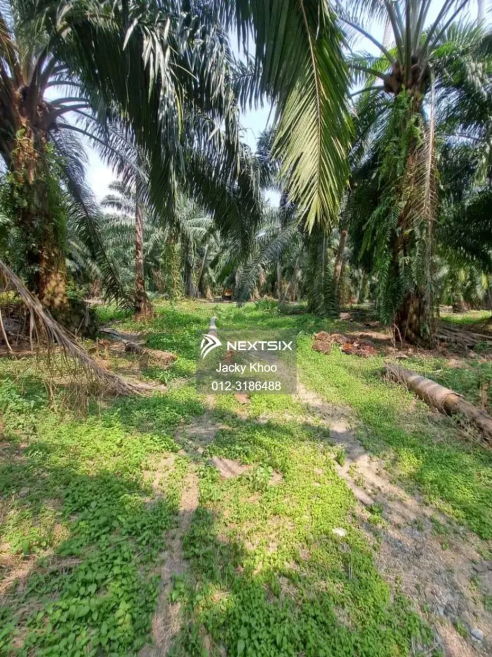 Agricultural Land For Sale in Kapar Selangor - Image 7