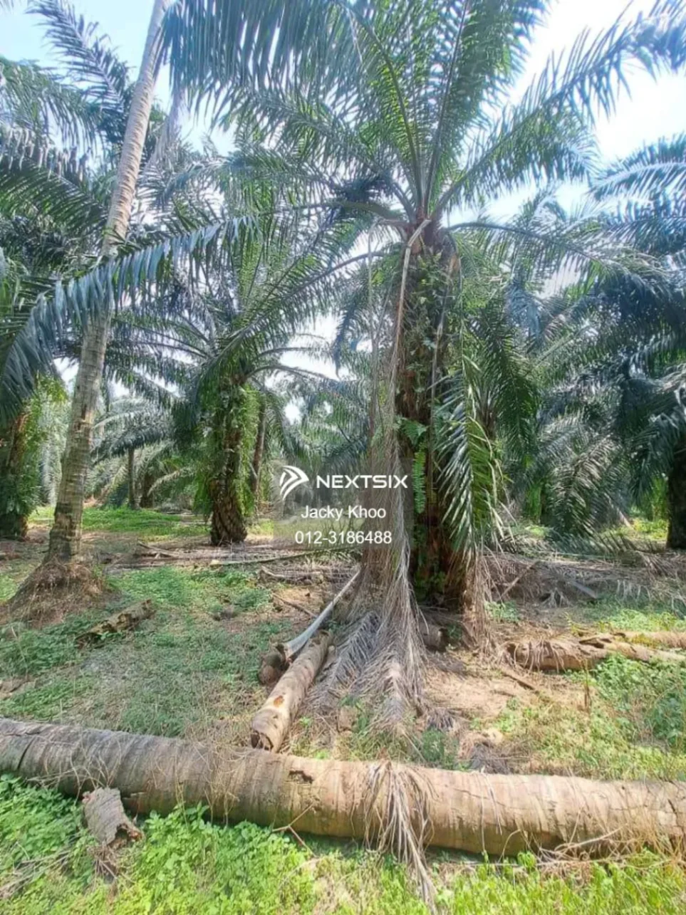 Agricultural Land For Sale in Kapar Selangor - Image 8