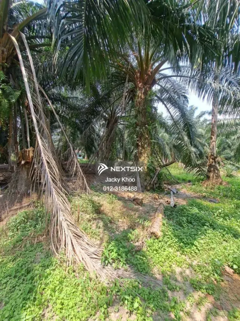 Agricultural Land For Sale in Kapar Selangor - Image 9