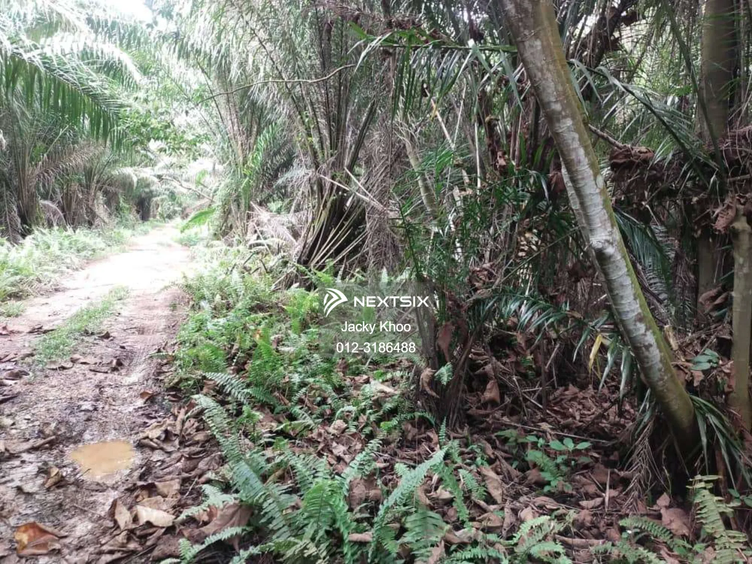 Agricultural Land For Sale in Telok Panglima Garang Selangor - Image 5