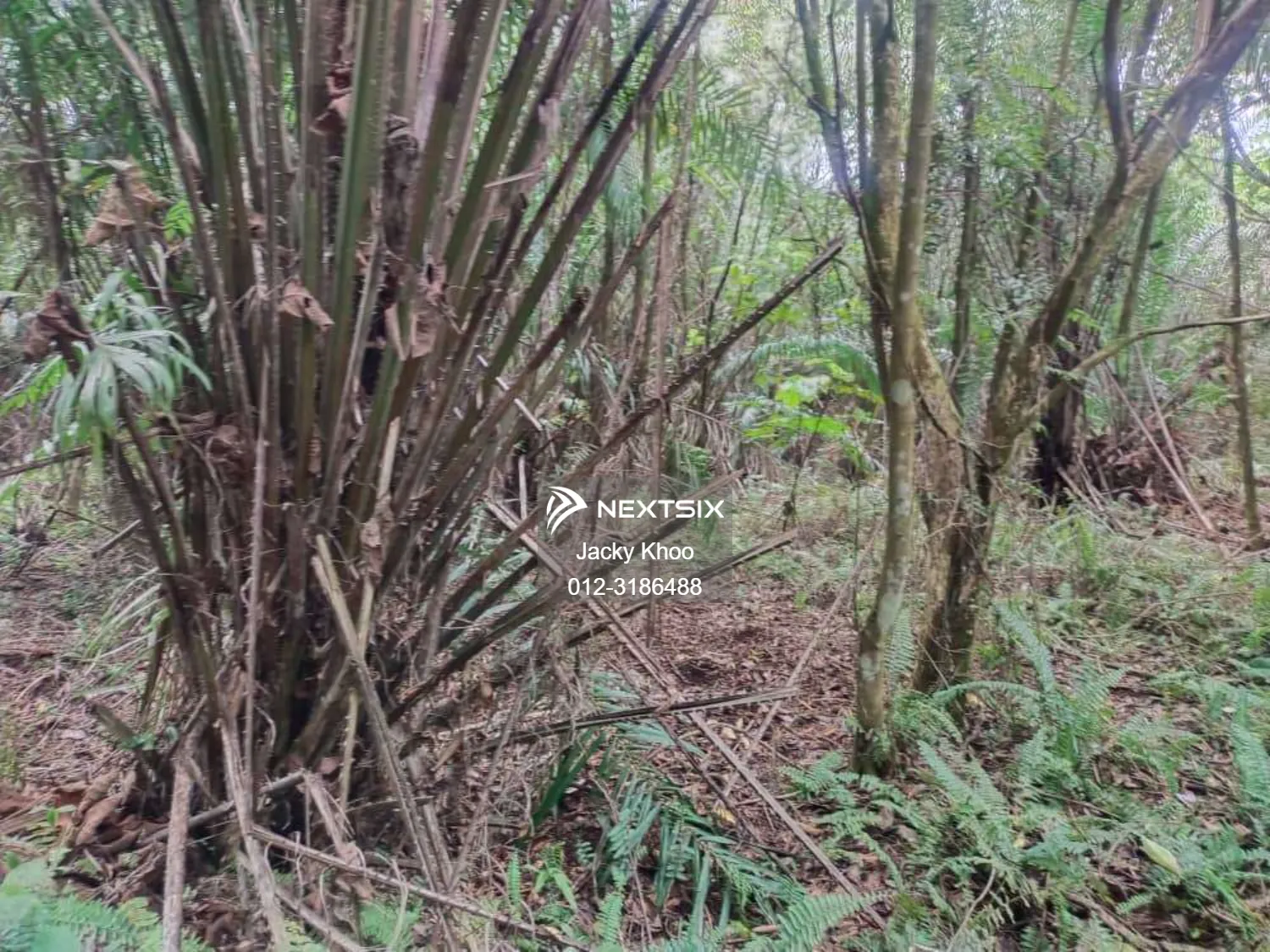 Agricultural Land For Sale in Telok Panglima Garang Selangor - Image 6