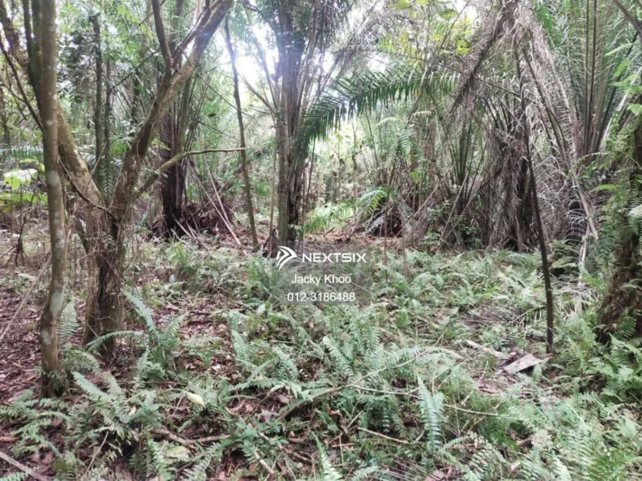 Agricultural Land For Sale in Telok Panglima Garang Selangor - Image 7