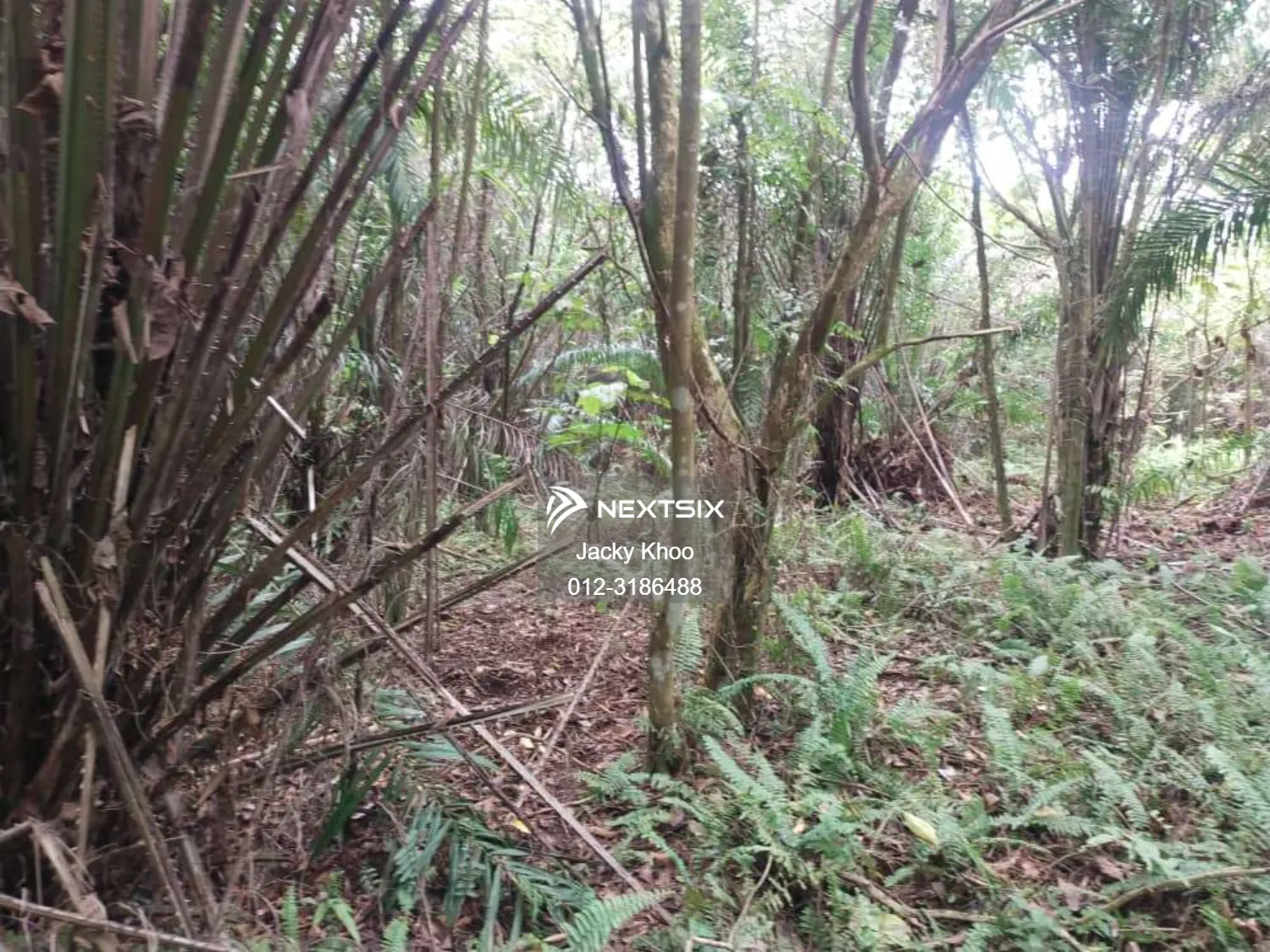 Agricultural Land For Sale in Telok Panglima Garang Selangor - Image 8