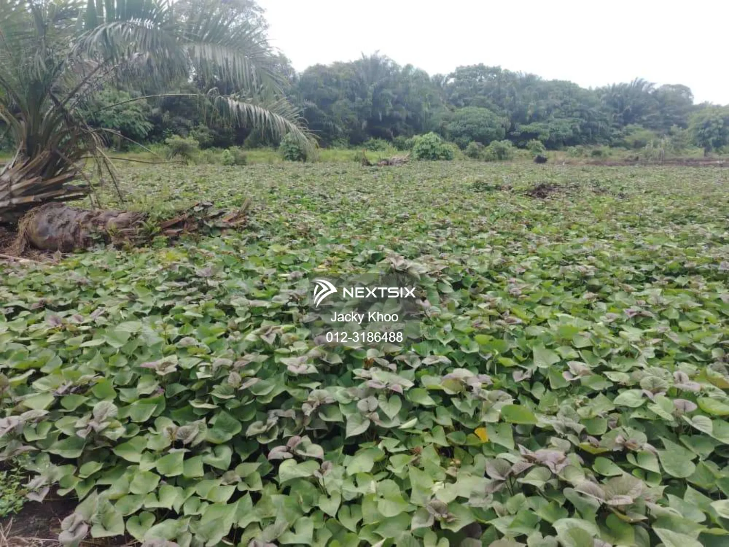 Below Market Price, Sijangkang Land for Sale . (Felrca) Telok Panglima Garang. 2.16 Acres flat Land for sale