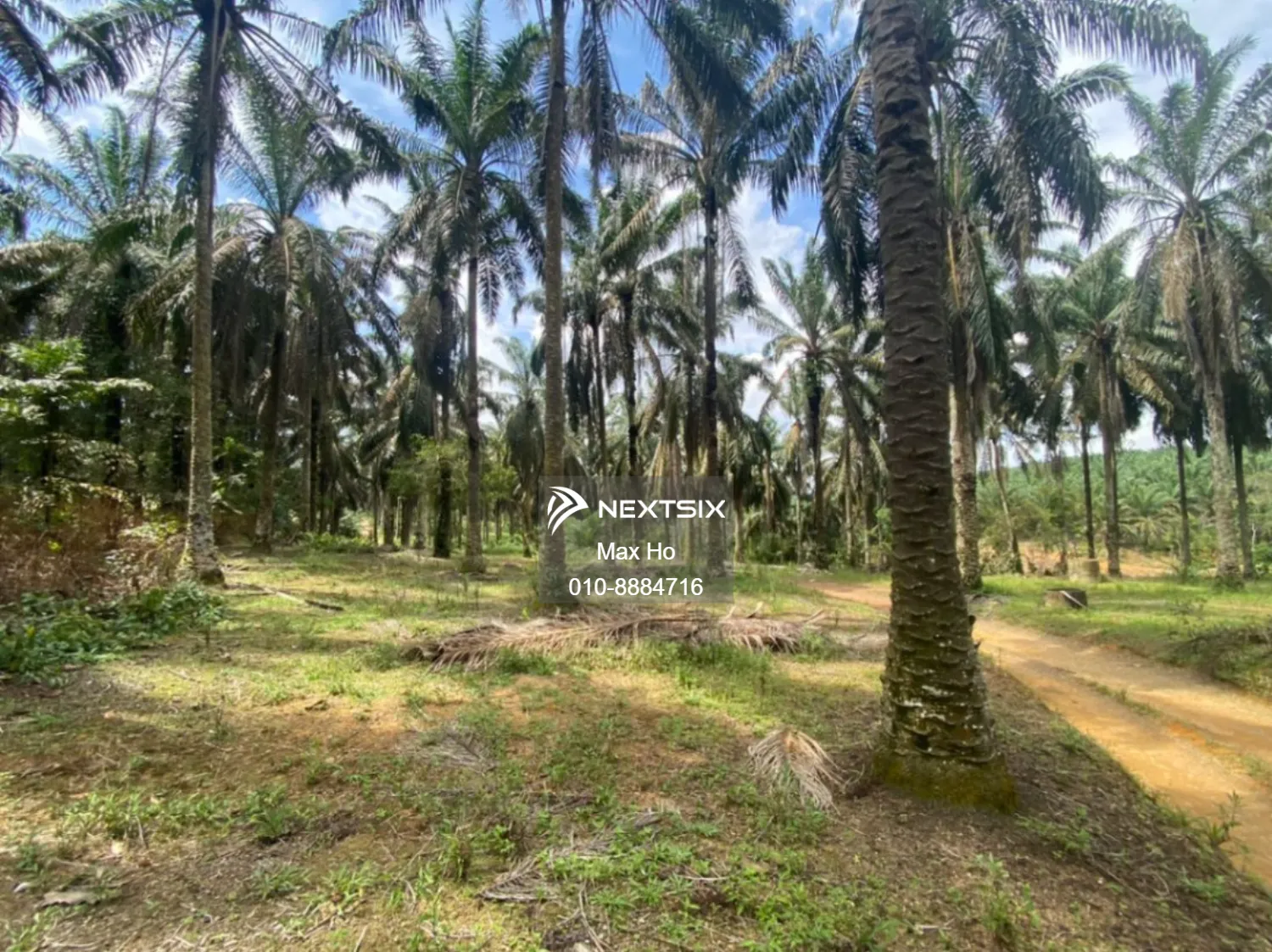 seelong agricultural land