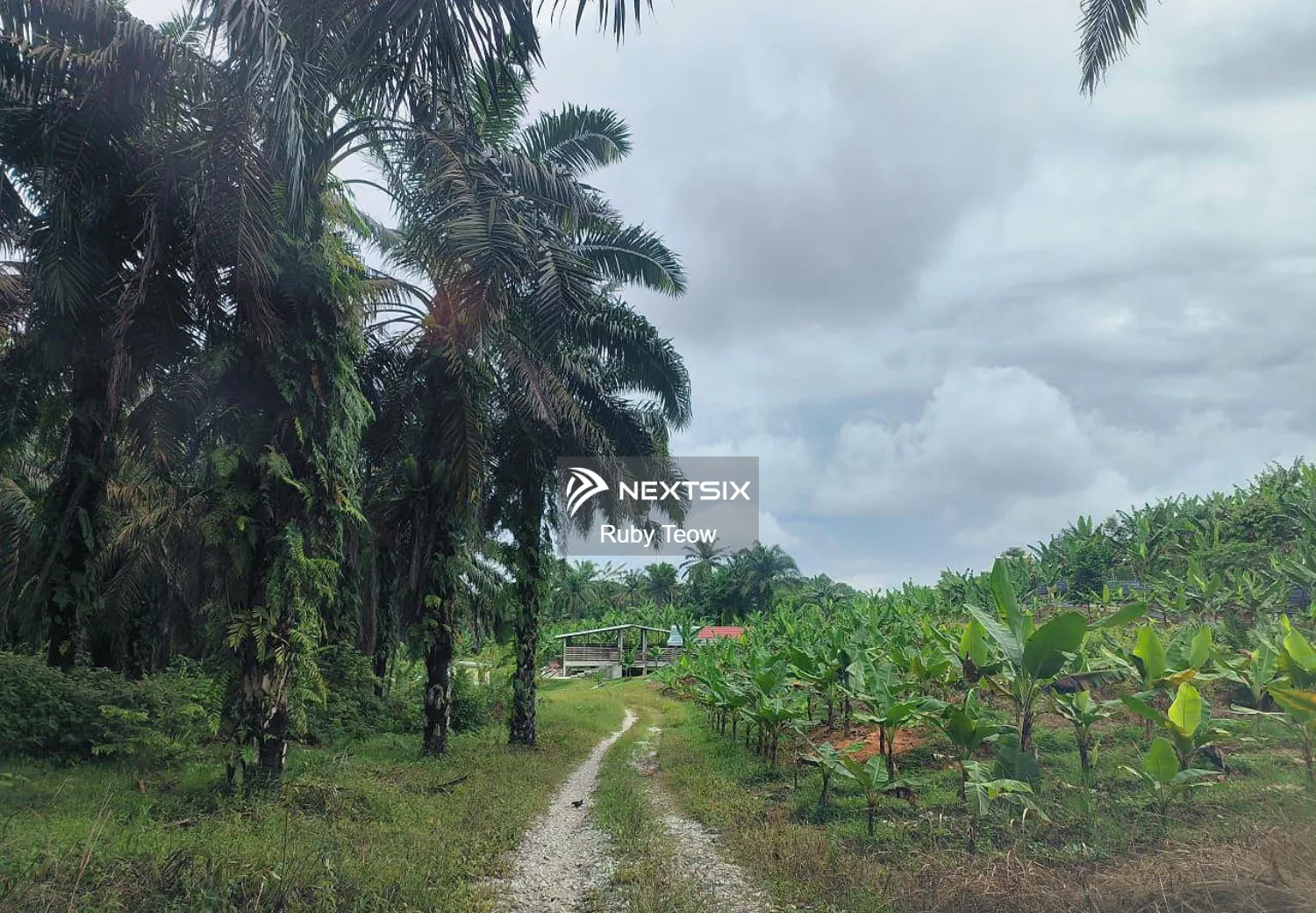 Senai - Medium Industrial Land For Sale