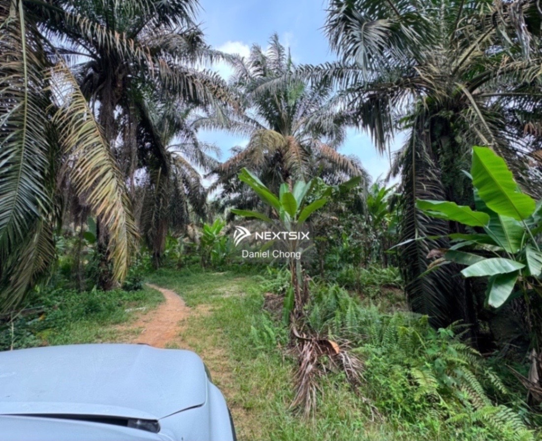 Agricultural Land For Sale in Kulai Johor