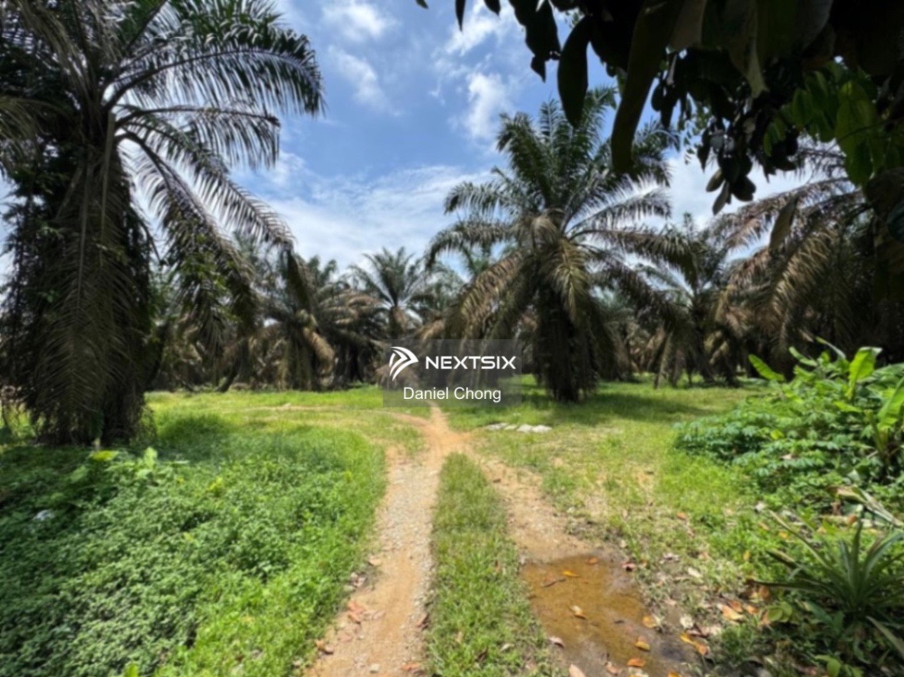 Agricultural Land For Sale in Kulai Johor - Image 3